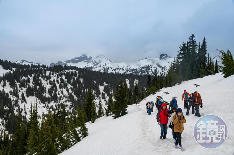 夏瘋西雅圖 野生公園雪量打破世界紀錄
