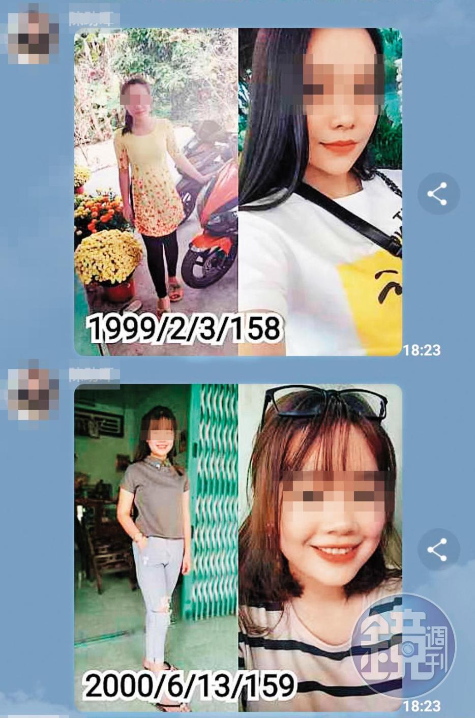 婚媒集團在群組大量PO出越南女子照片，把對方當成直銷商品。（翻攝畫面）