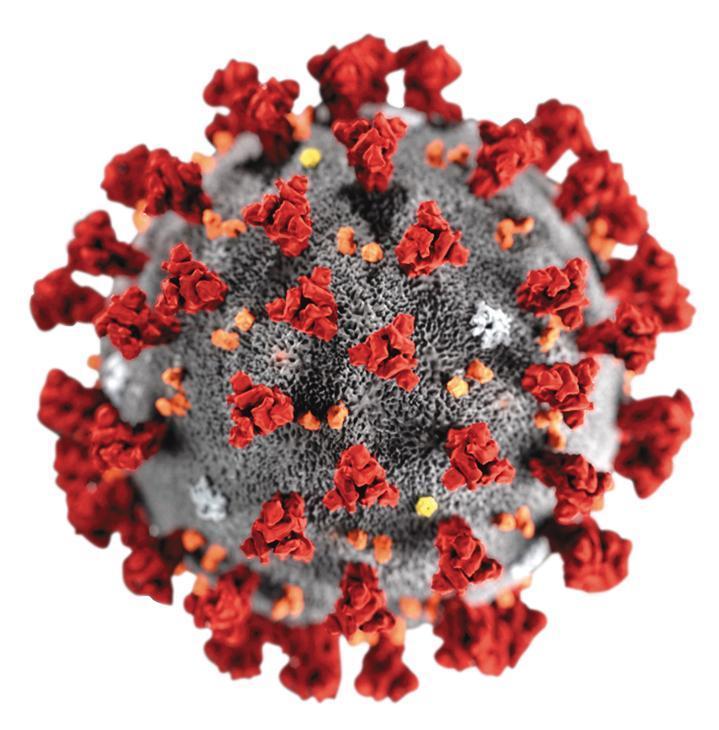 今年1月12日，世界衛生組織（WHO）將自去年底開始蔓延的武漢肺炎，定名為「2019新型冠狀病毒」（2019-nCoV）。（翻攝美國疾管局官網）