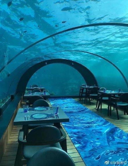 該度假村擁有海底5.8公尺深的海底餐廳，相當浪漫。（翻攝自微博）
