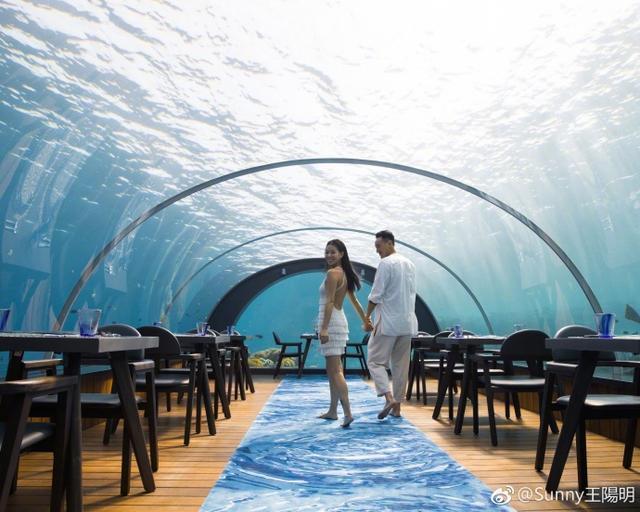 2年前，王陽明曾帶著愛妻蔡詩芸到海底餐廳慶生。（翻攝自微博）