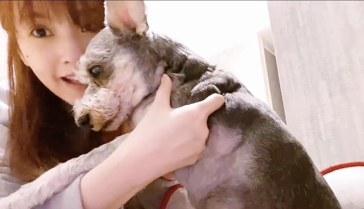 楊丞琳和家裡的愛狗Yumi猛親的畫面讓粉絲都融化了。（翻攝自楊丞琳Youtube）