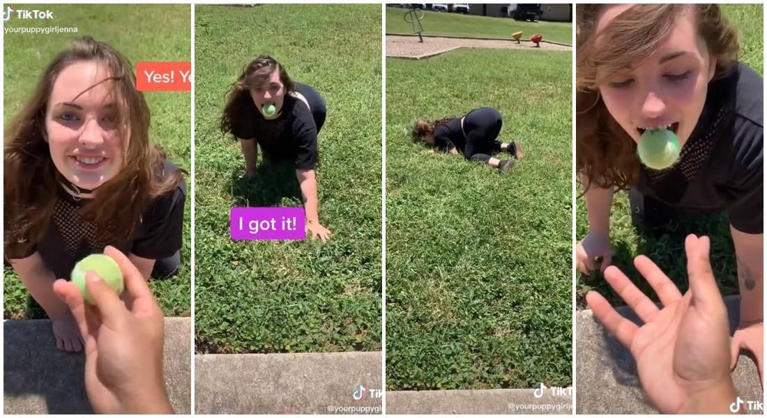 珍娜菲利浦拍攝影片，在草地上爬行用嘴撿球。（翻攝自yourpuppygirljenna TikTok）