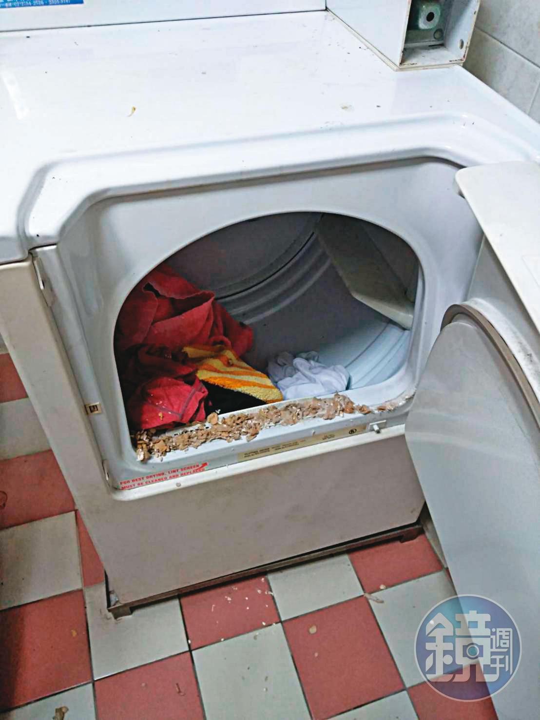 學生宿舍環境堪慮，連洗衣機也有不少髒汙。（讀者提供）