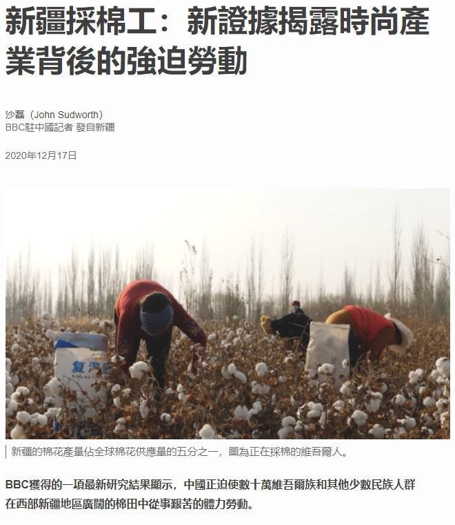 《BBC》自去年底就推出了一系列新疆強迫勞動的調查報導，但中國一概駁斥。（翻攝自BBC官網）