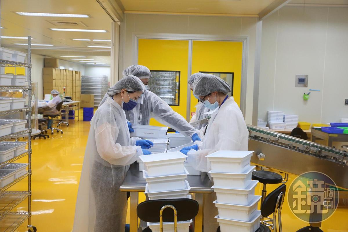 高端疫苗竹北廠的員工正在進行充填、包裝作業。