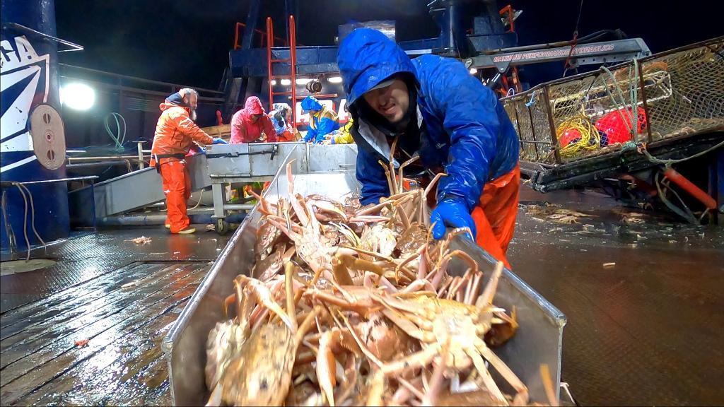 全新第17季的《漁人的搏鬥》紀錄白令海峽「捕蟹人」的工作實況。（myVideo提供）