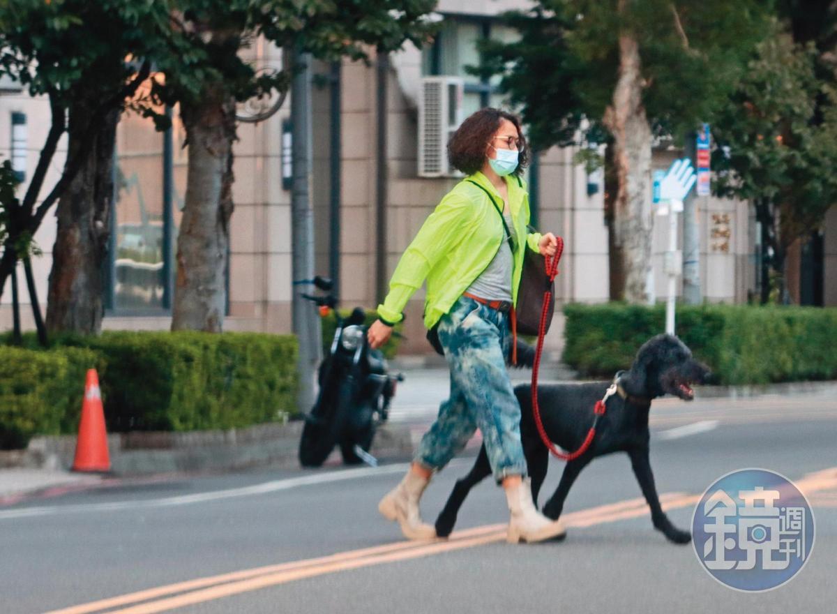 9/14 16：41 侯怡君返家後，又遛著另一隻愛犬過馬路，她的身形明顯看得出毫無孕味。