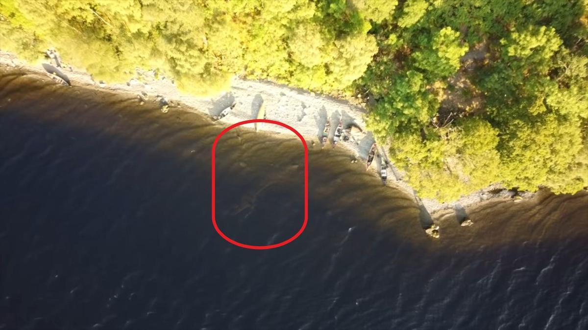 震驚世人的尼斯湖水怪（紅圈處）影片，經證實為一場騙局。（翻攝Richard Mavor YouTube頻道）