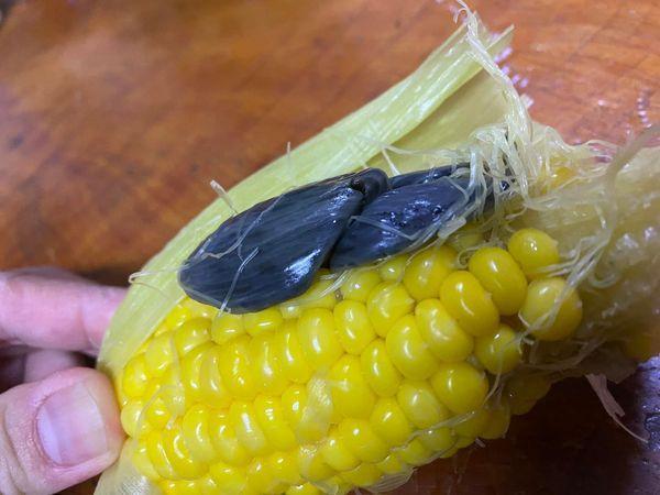 網友說「黑色異形」是玉米黑穗菌，有些國家視為美食。（翻攝自臉書：花蓮同鄉會）