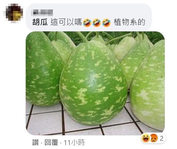 網友找到真的「胡瓜」照片，搞笑問「這可以嗎 植物系的」。（翻攝自胡瓜臉書）