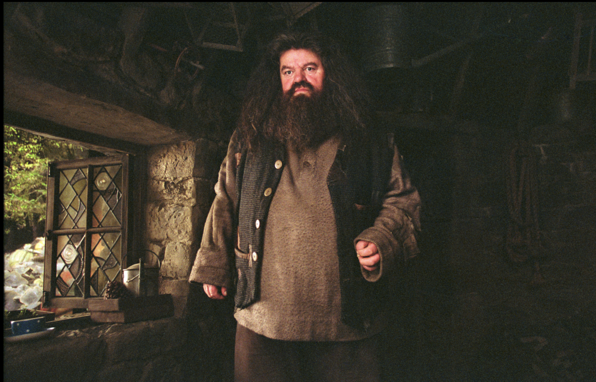 ▼羅比寇特蘭在《哈利波特》系列電影中飾演半巨人「海格」。（圖／翻攝自翻攝IMDb）