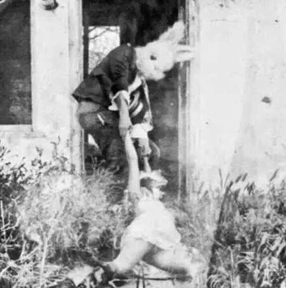 網路流傳兔子男作案照片。（網路圖片）