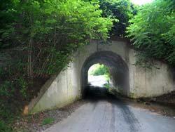 都市傳說地點兔男橋隧道。（翻攝自維基百科）