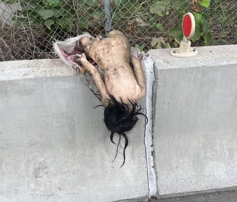 高度仿真人的情趣娃娃，掛在員林大排護欄上，被誤認為是「爆乳女屍」。（圖／鏡周刊提供）